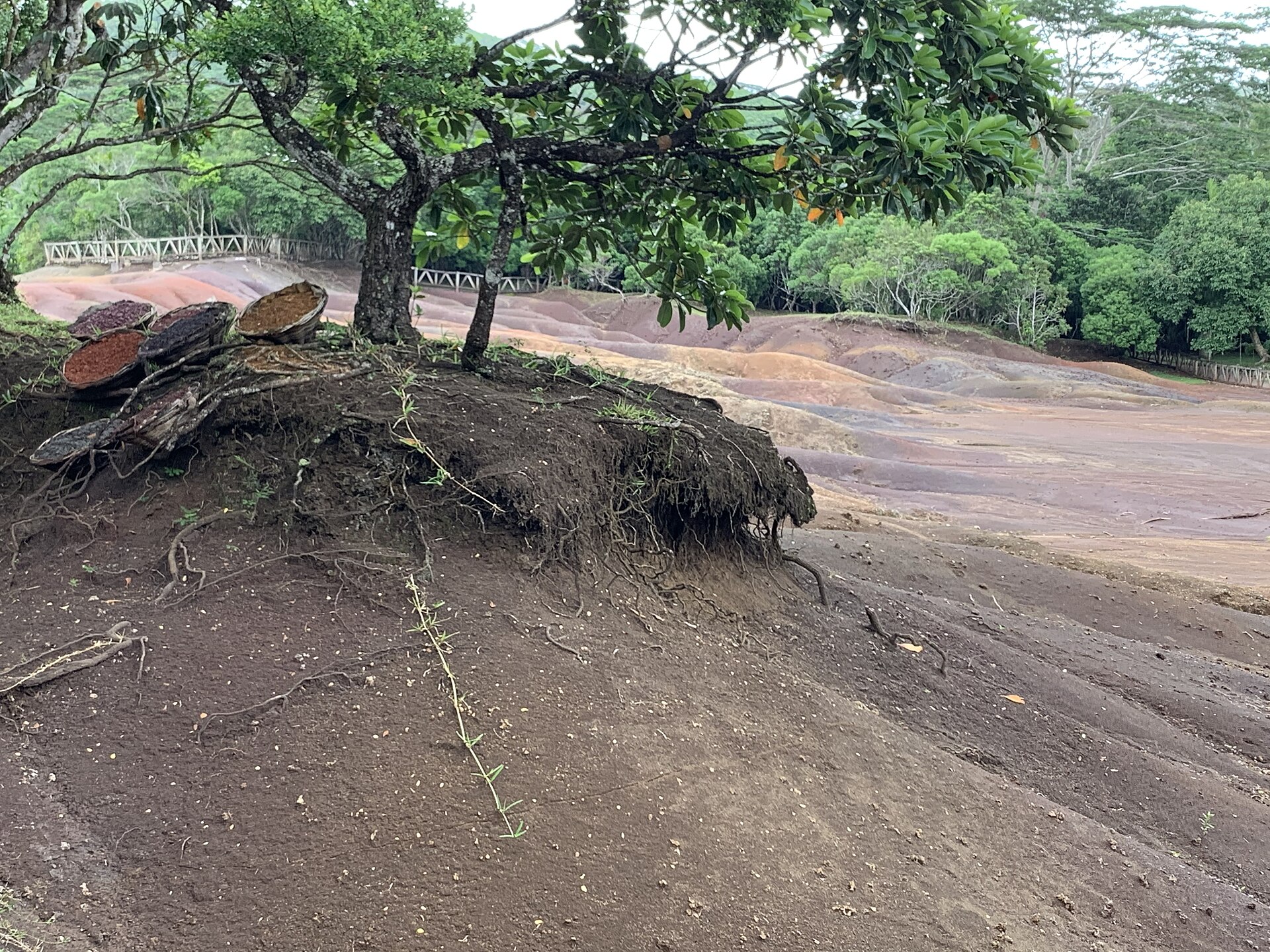 The Seven Coloured Earths at Chamarel, Mauritius