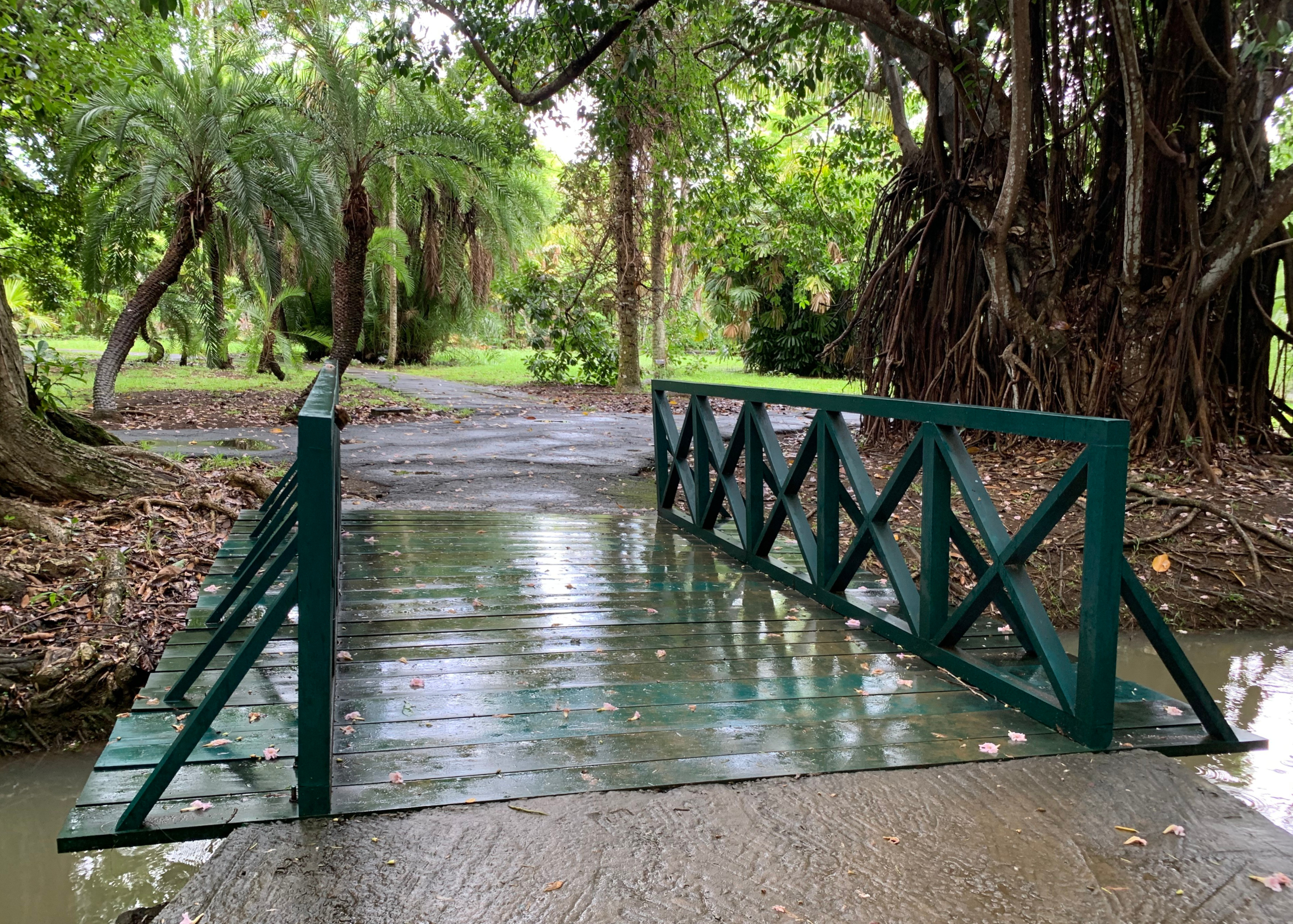 A footbridge in Sir Seewoosagur Ramgoolam Botanical Garden, Mauritius.