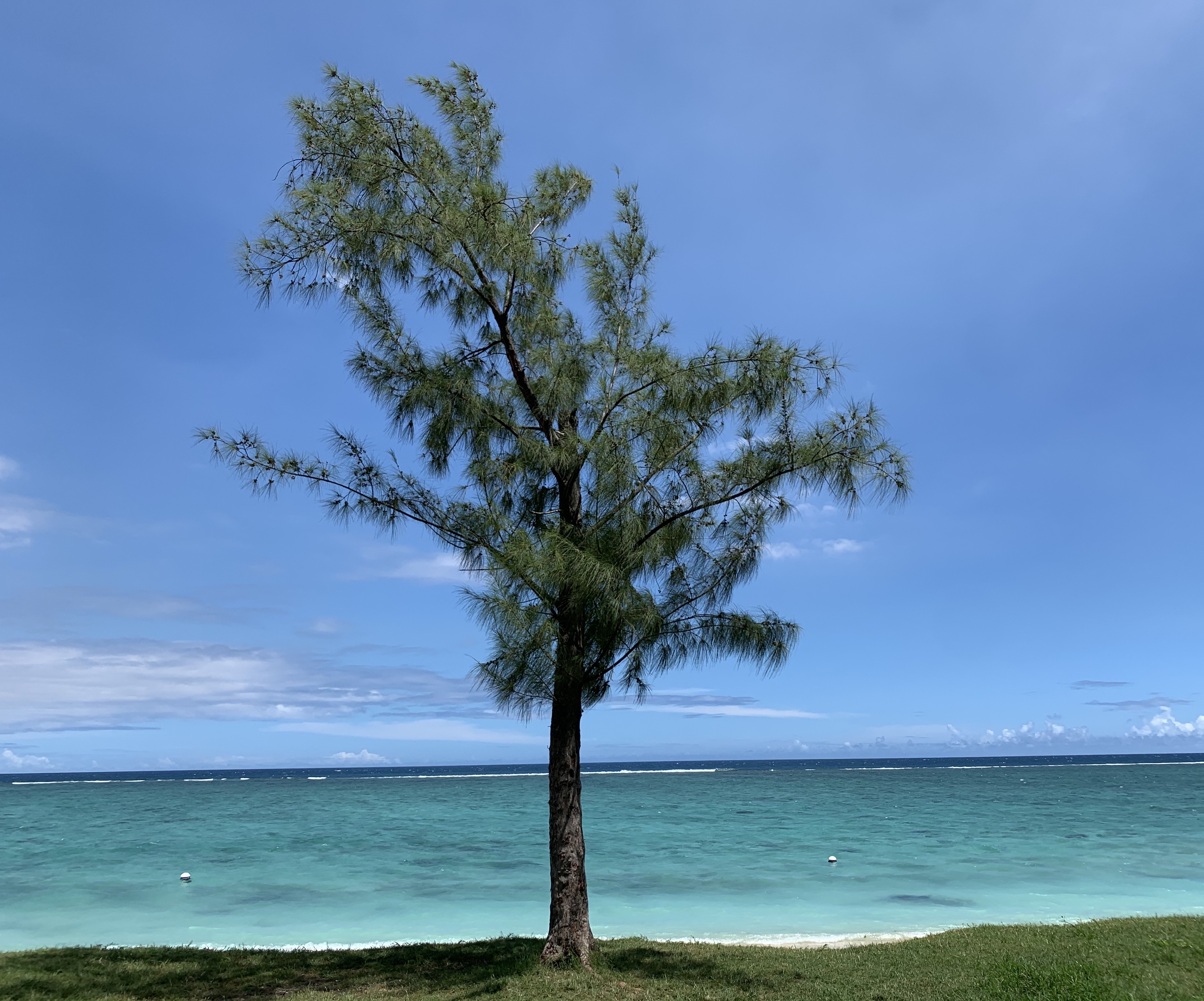 Flic-en-Flac Beach, Mauritius, photographed in March 2020.