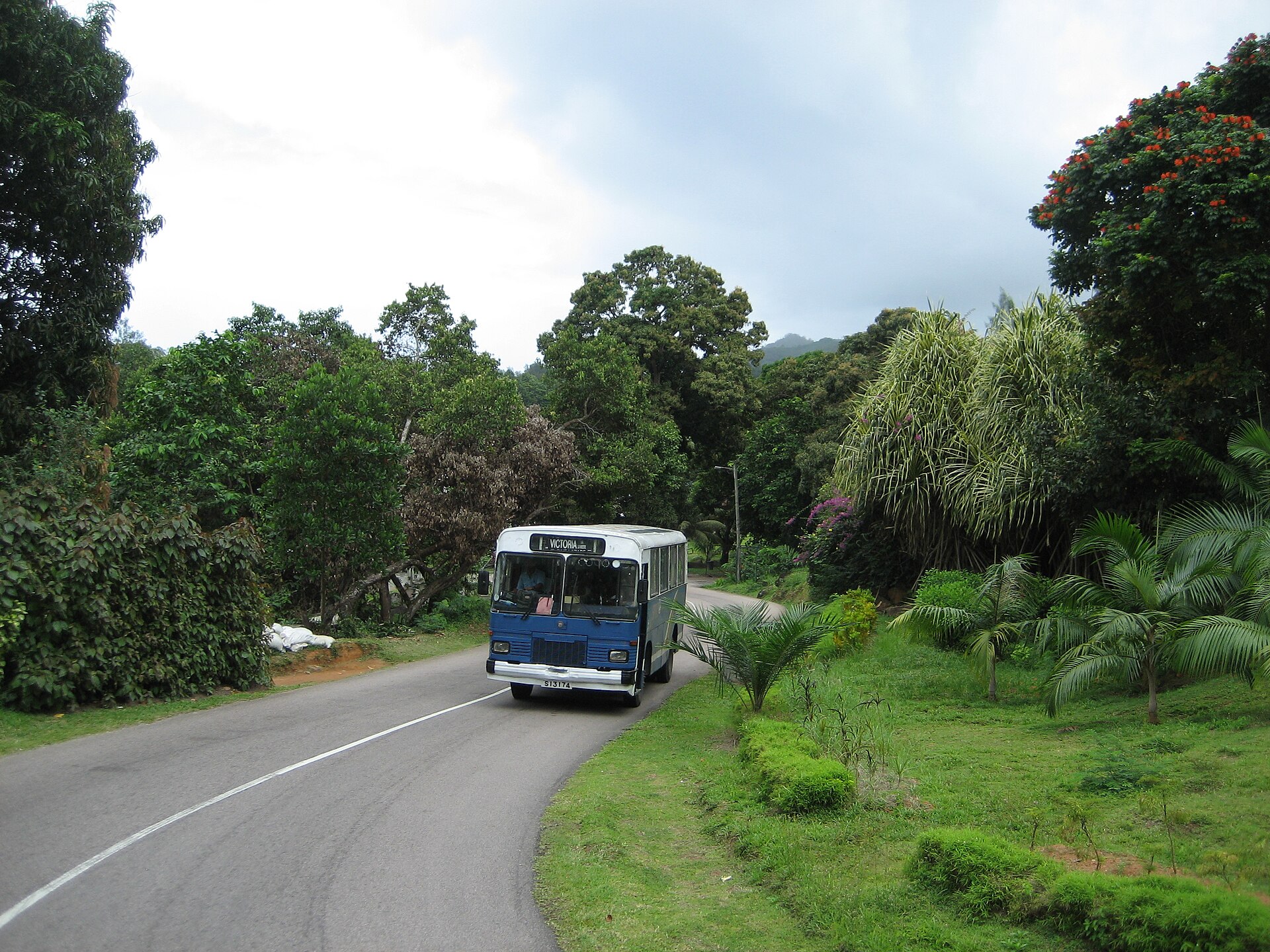 Un bus public sur une route goudronnée en courbe, bordée de palmiers et d'arbres tropicaux, à Mahé, avec une ligne blanche le long de la voie