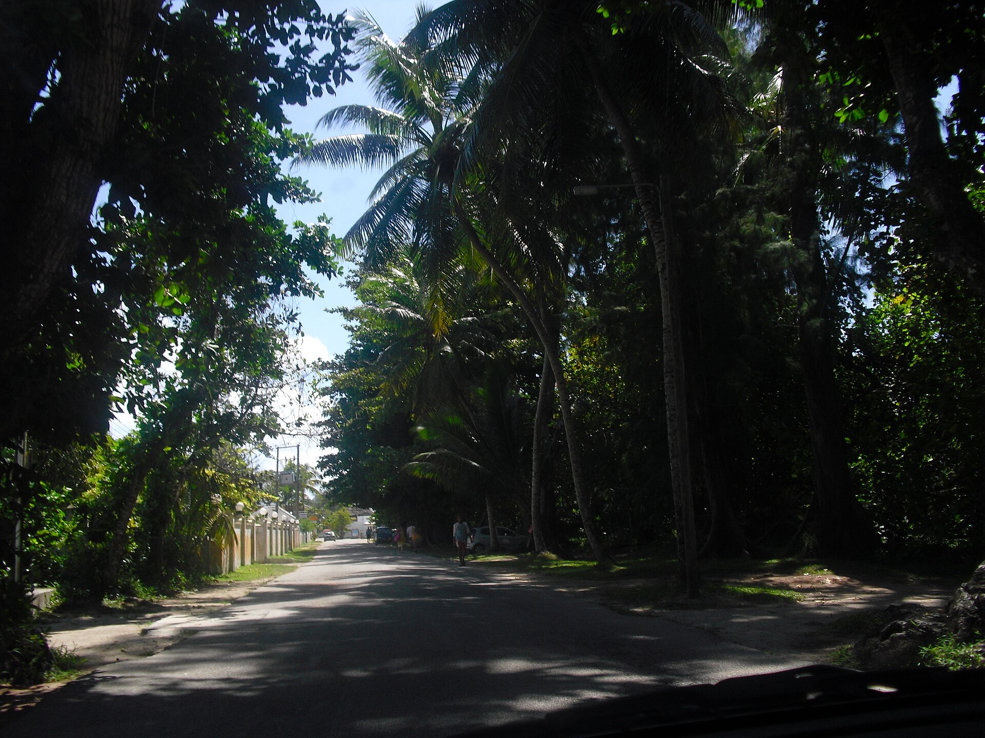 Une route goudronnée ombragée entre des palmiers et des murs de jardin à Anse Volbert, à Praslin, vue à travers le pare-brise d'une voiture