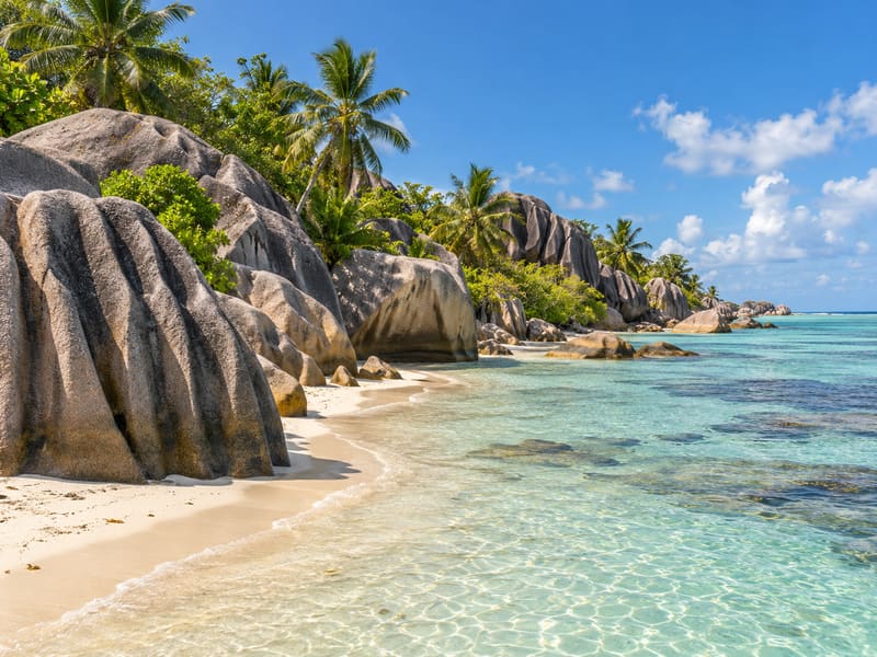 Illustration: granite boulders and palms on a beach like Anse Source d'Argent, Seychelles